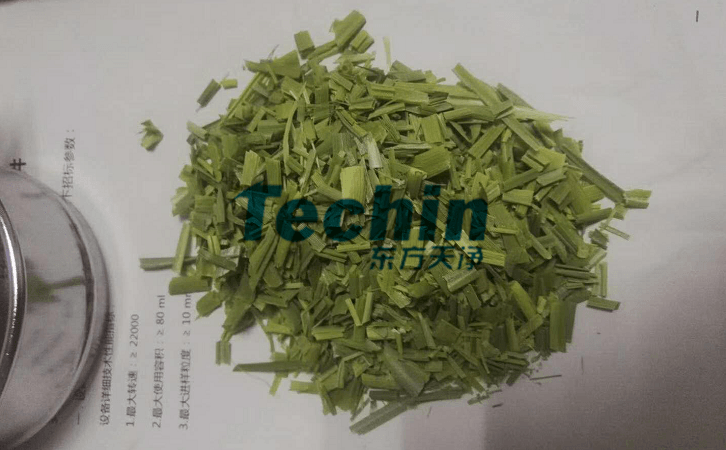 水稻葉子91视频电影网前