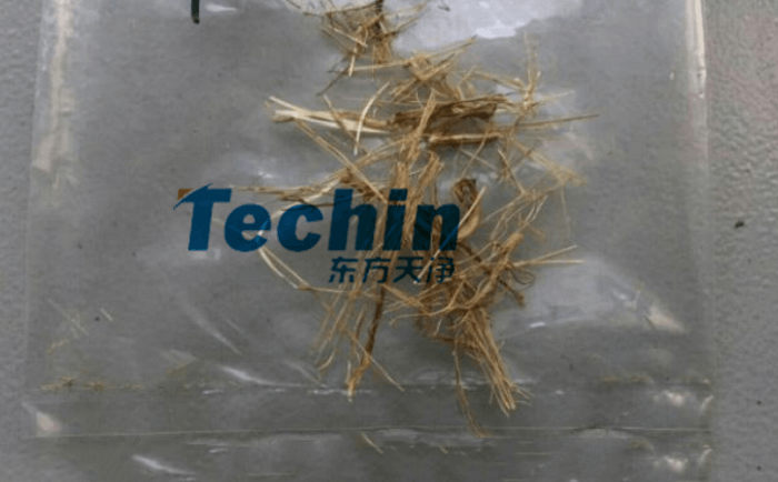 幹黃豆根莖91视频电影网前