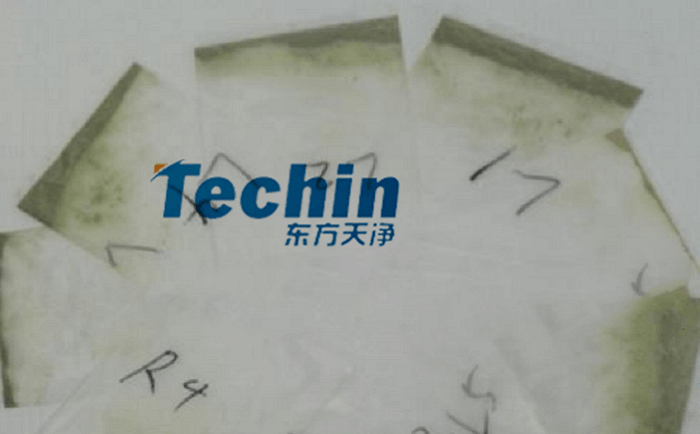 幹黃豆根莖91视频电影网後