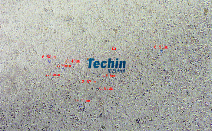 二氧化矽91视频电影网後顯微鏡圖