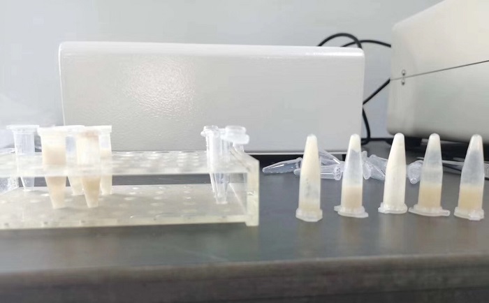 豬肉組織91视频电影网後