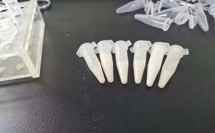 豬肉組織91视频电影网後