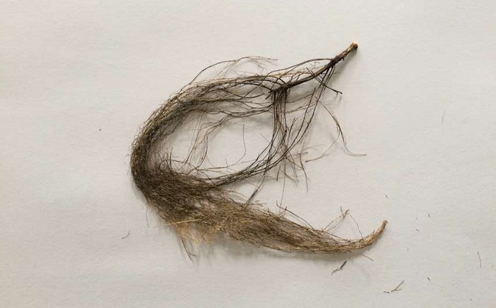 棉花根91视频电影网前